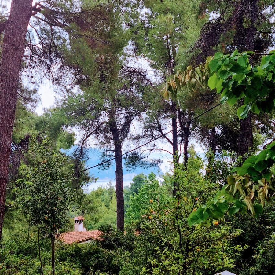 Villa Nefeli Sani  Екстер'єр фото